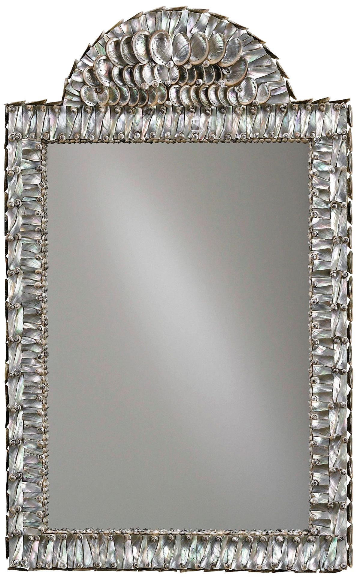 Currey And Company Abalone 21" x 34" Shell Wall Mirror
