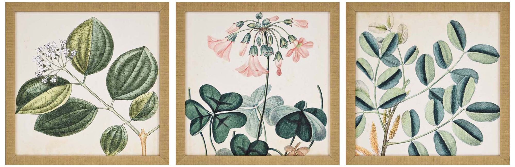 Garden III 3-Piece 18" Square Framed Giclee Wall Art Set