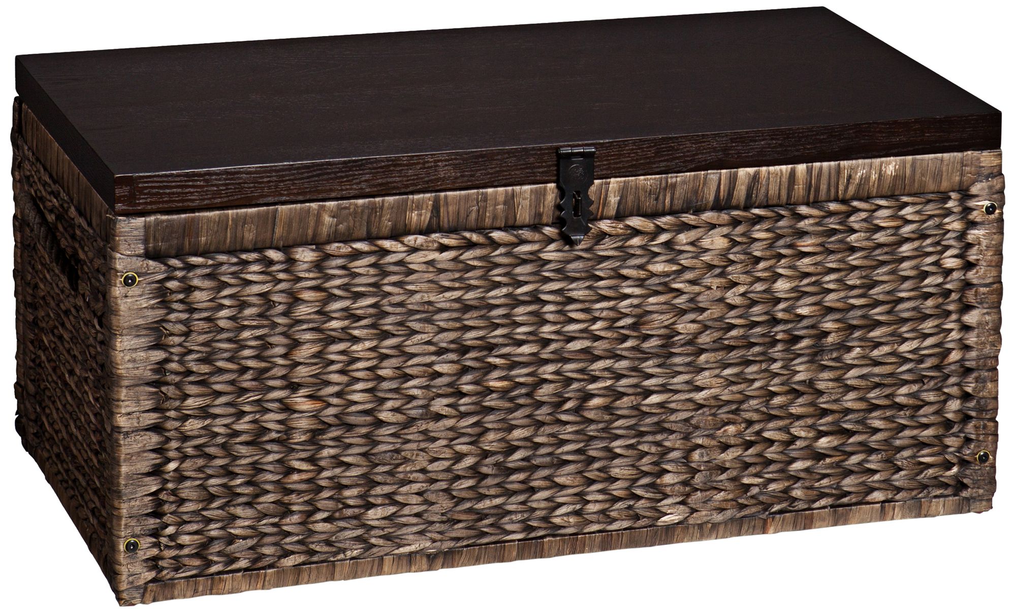 Marsh 37 3/4" Wide Blackwash Espresso Finish Storage Trunk