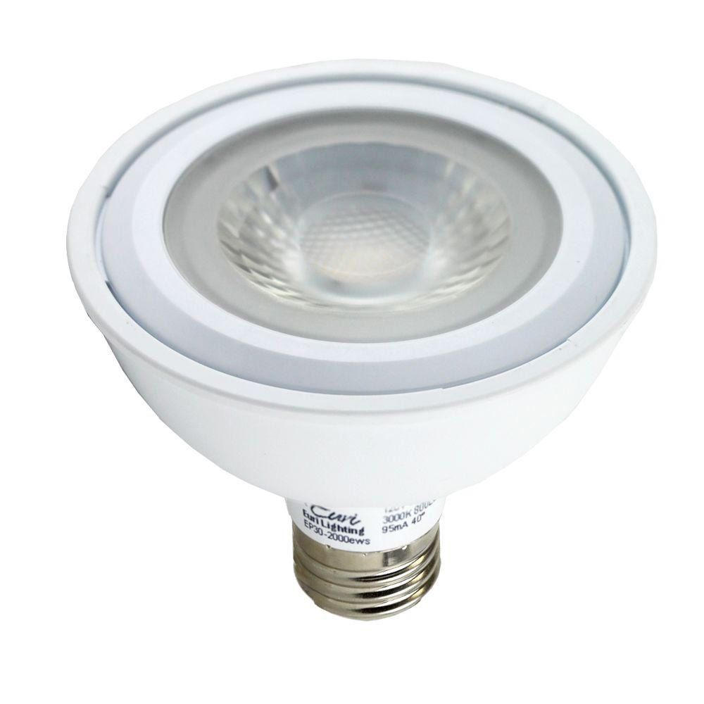 75W Equivalent Frosted 13W LED Dimmable Standard PAR30 Bulb