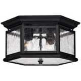 Hinkley Edgewater Collection 13&quot; Wide Black Ceiling Light