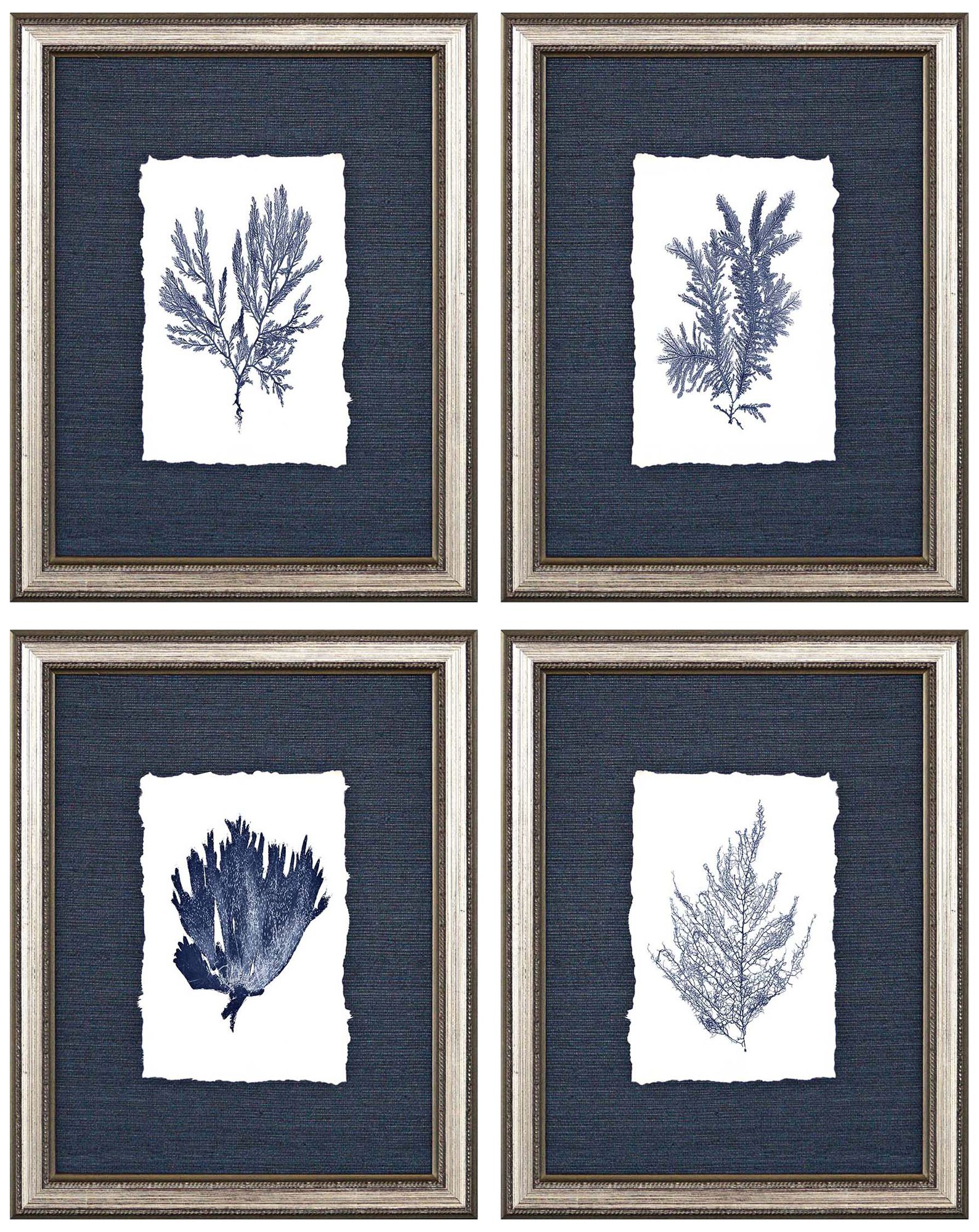 Coral 14" High 4-Piece Framed Giclee Wall Art Set