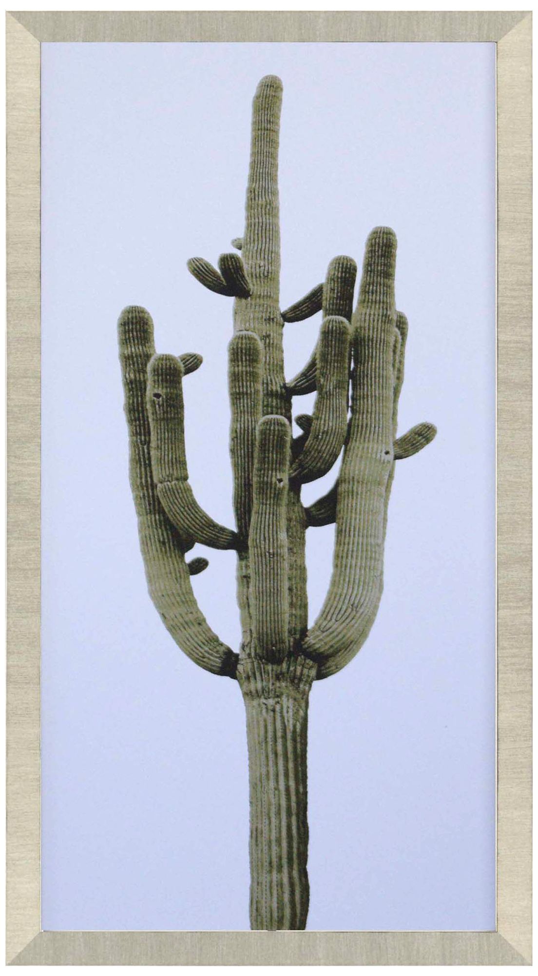 Saguaro I 39" High Framed Giclee Wall Art