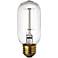 Edison Style 40 Watt T14 Clear Light Bulb