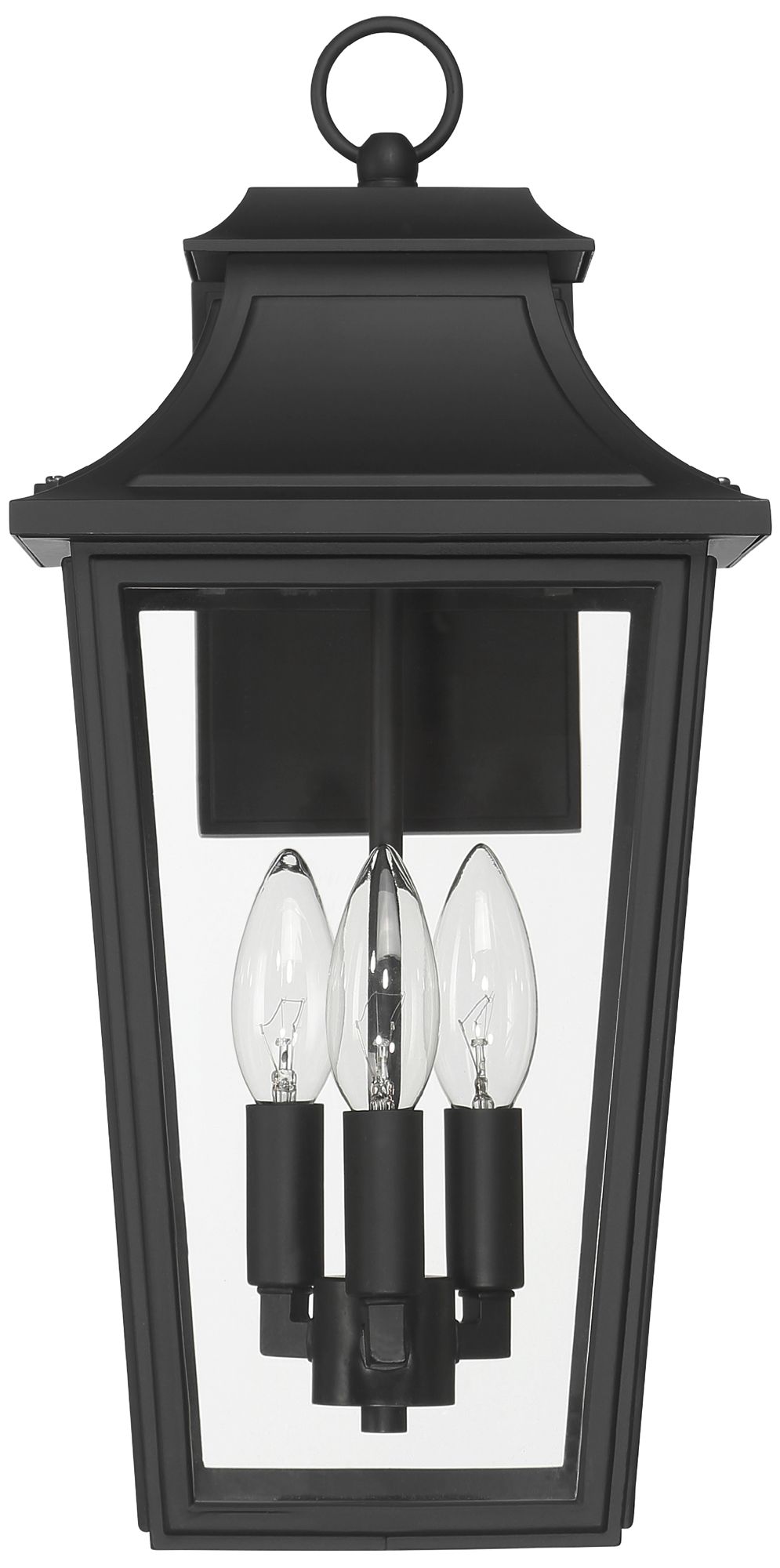 Hunter Spring Cove Matte Black Outdoor 3 Light Large 17 Inch Wall Light