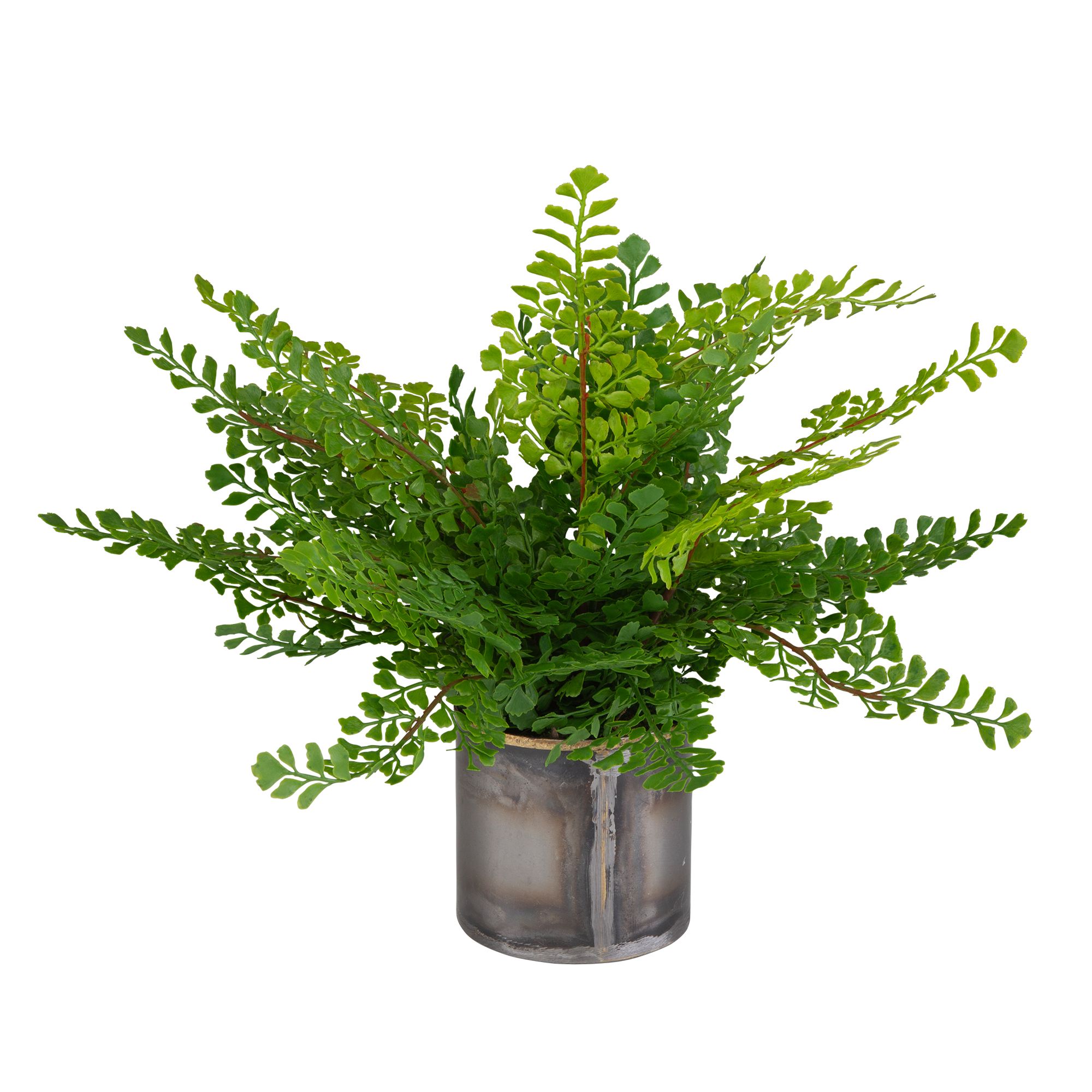 Uttermost Maidenhair 14" Fern Accent