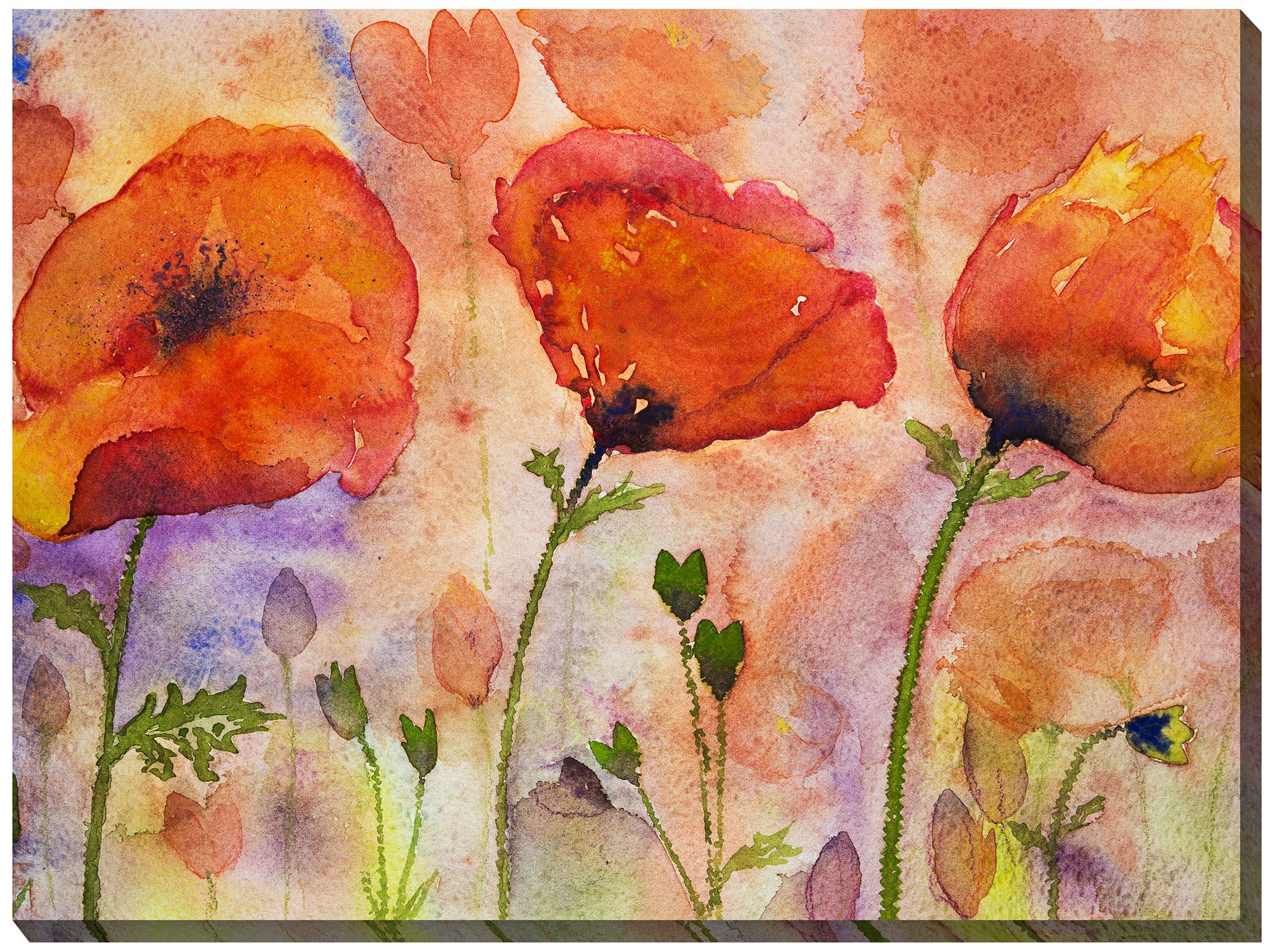 Three Poppies 40" Wide All-Weather Outdoor Canvas Wall Art