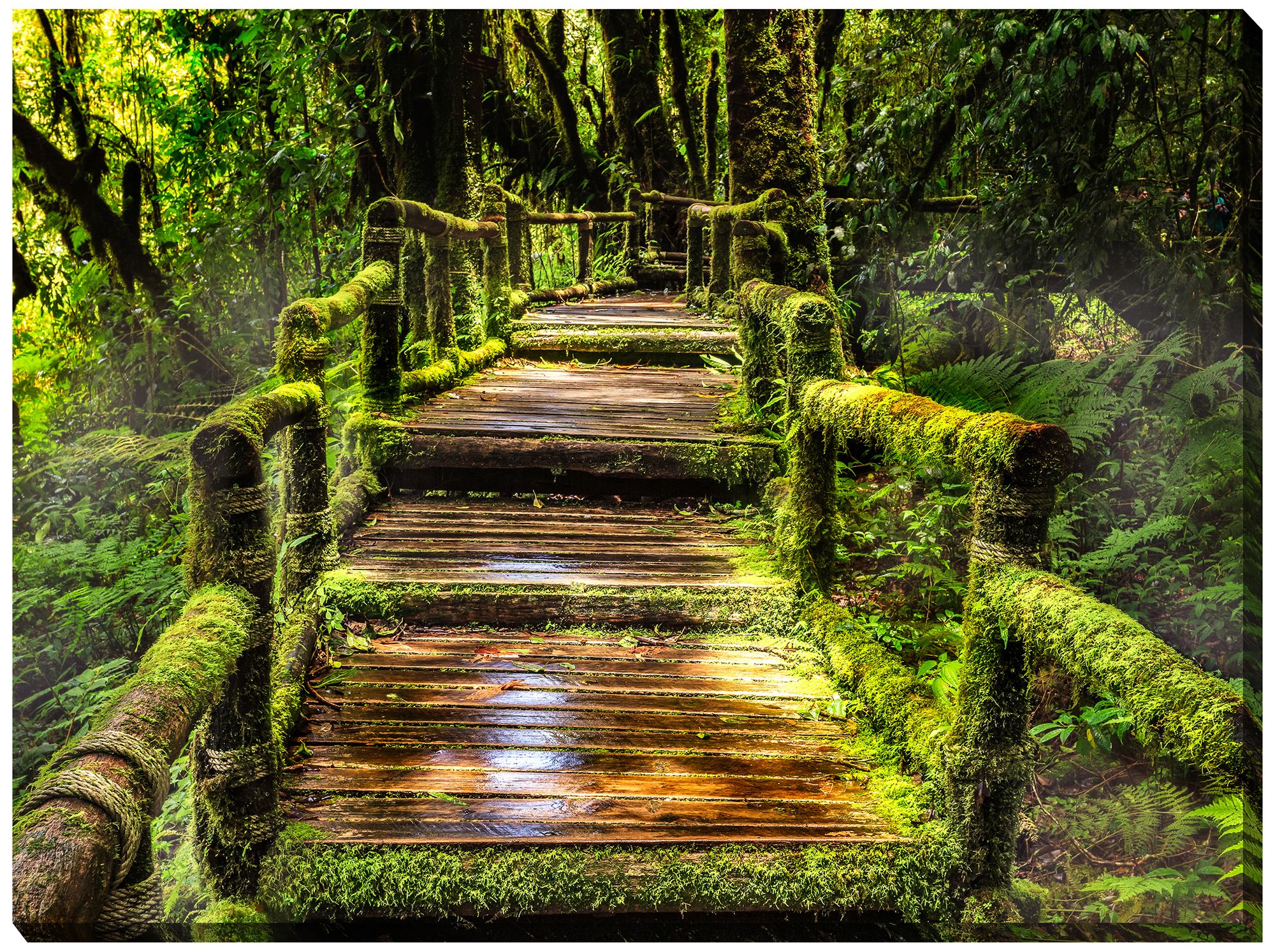 Jungle Fever 40" Wide All-Weather Outdoor Canvas Wall Art