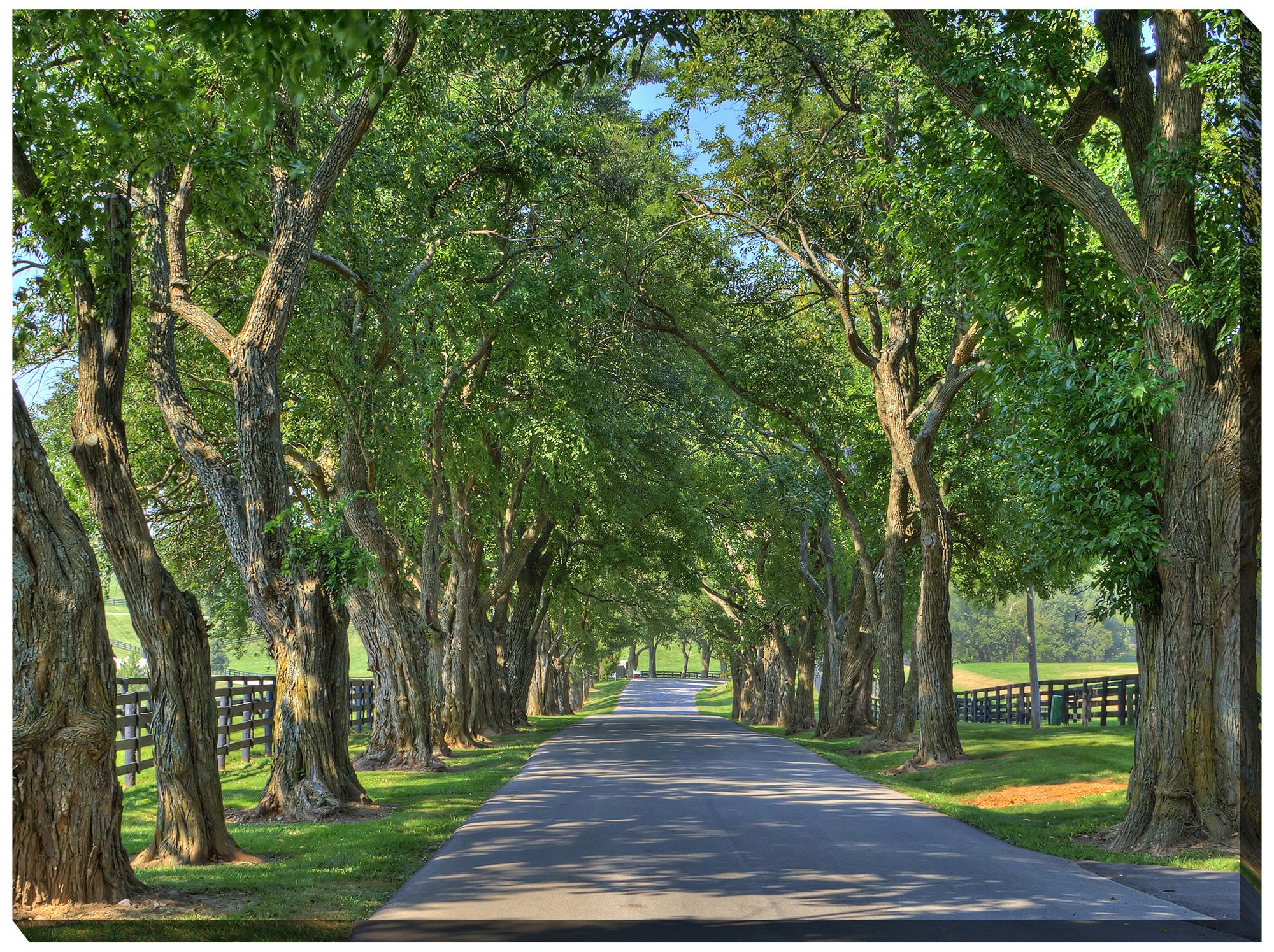 Country Lane 40" Wide AllWeather Outdoor Canvas Wall Art 41Y61