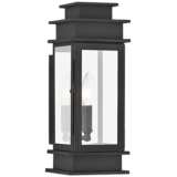 Princeton 14&quot; High Black Outdoor Wall Light