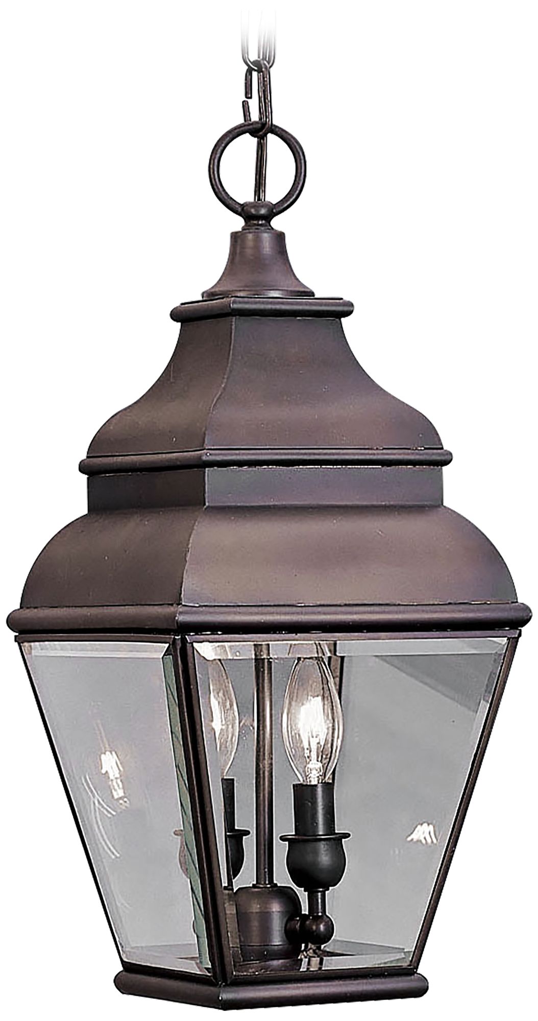 Exeter 19" High Bronze Outdoor Hanging Light