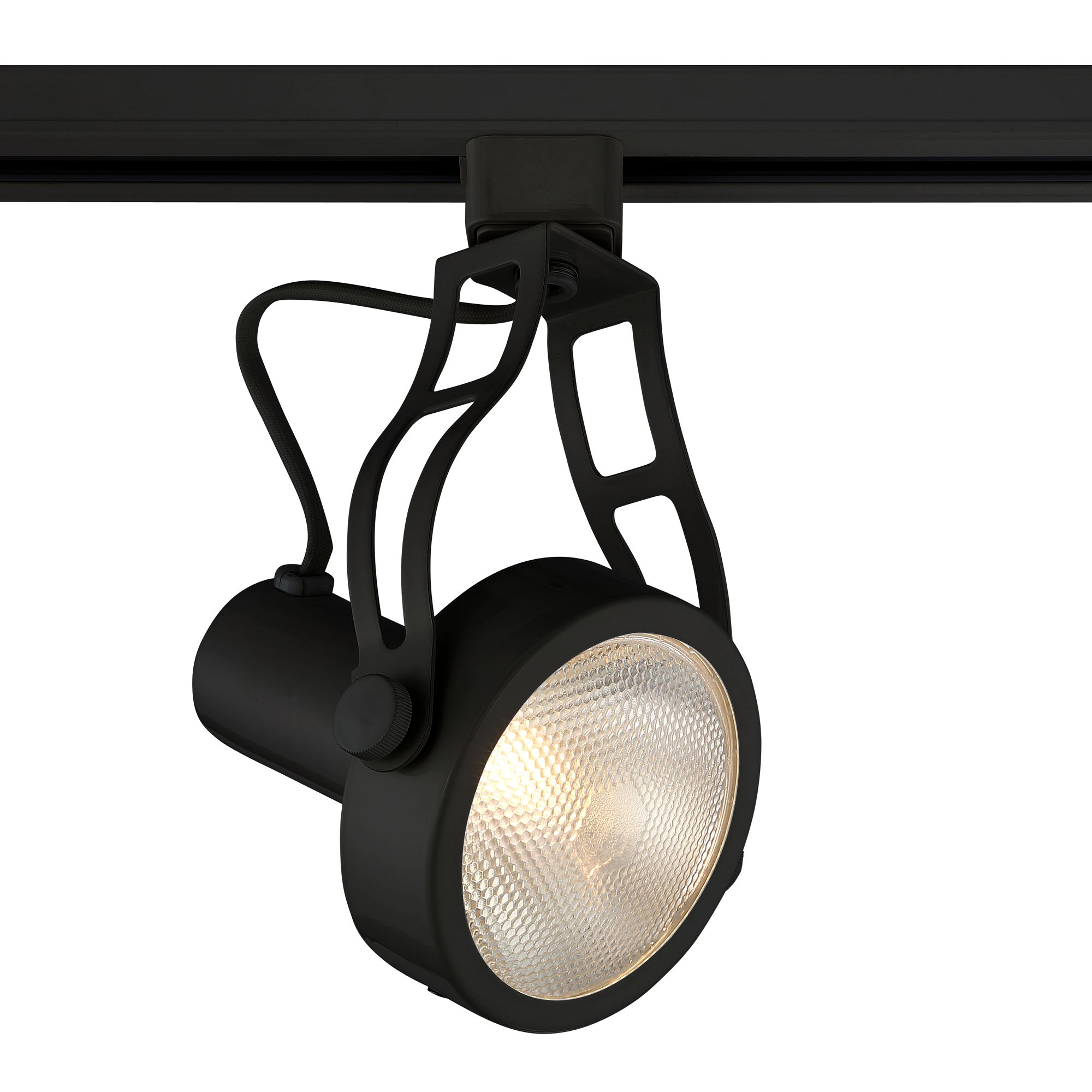 Pro Track Black Spotlight PAR30 Head for Halo Track Systems 46M93