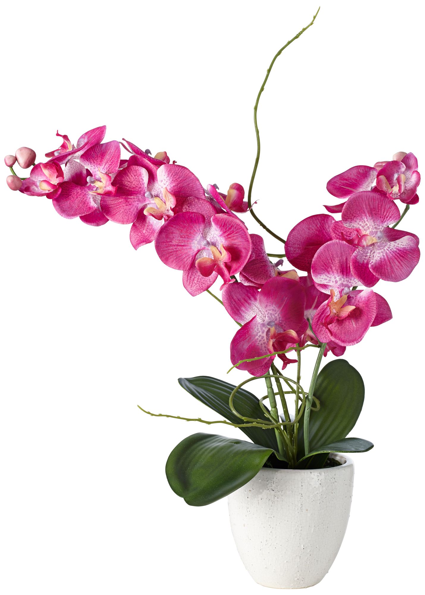 cheap silk orchids