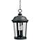 Maxim Dover 20" High Black Outdoor Hanging Lantern