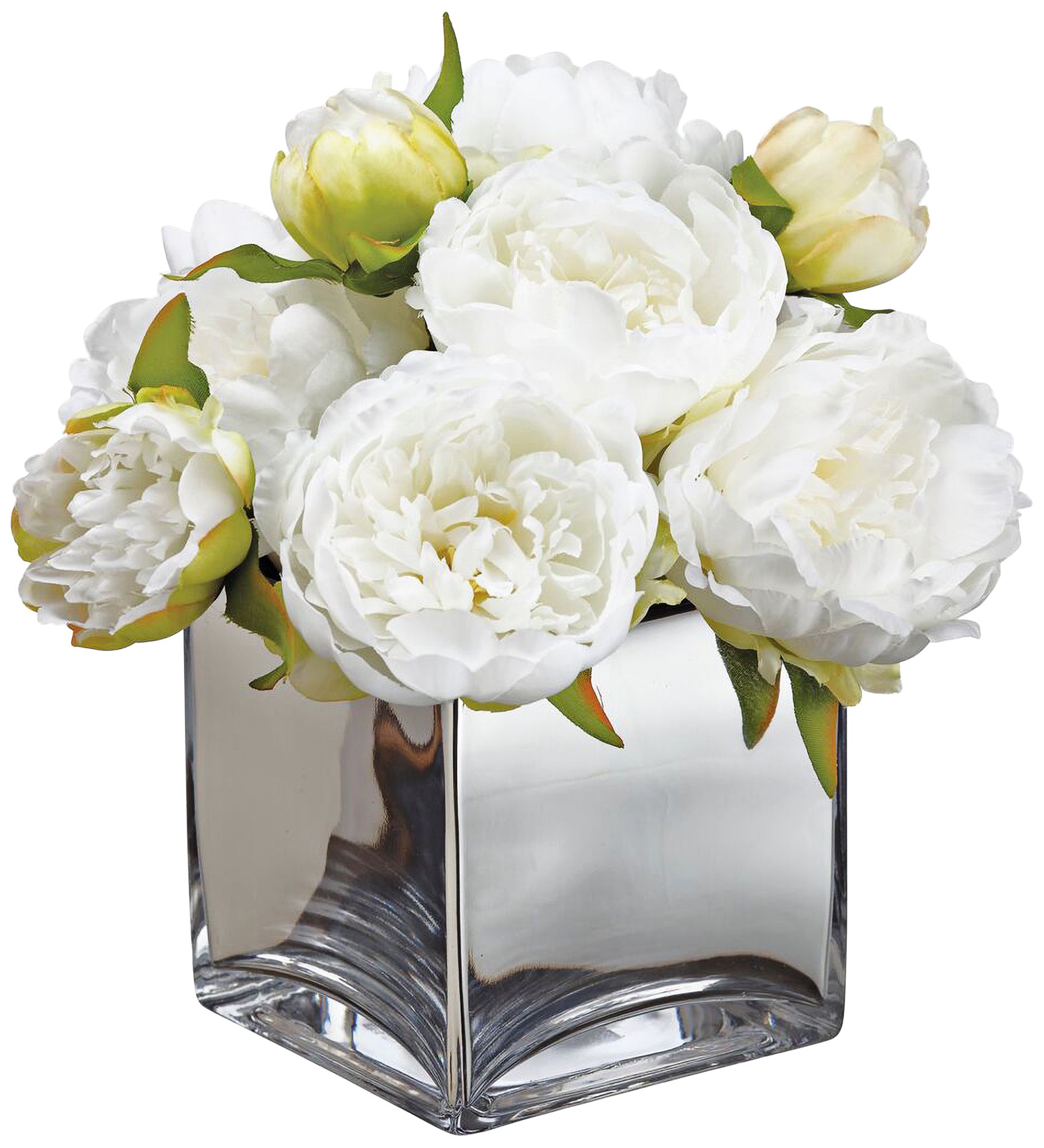 White Peonies 14 1/4
