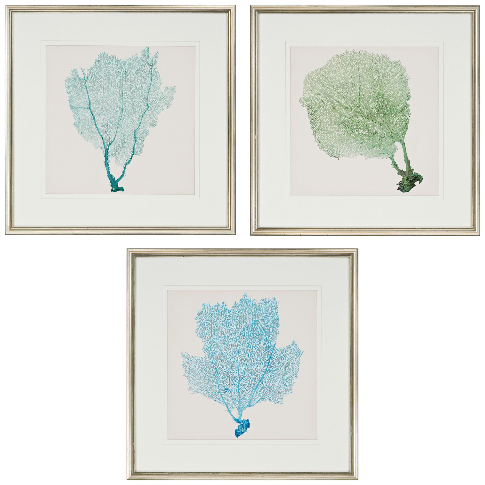 Sea Fan I 3-Piece 25" Square Wall Art Set