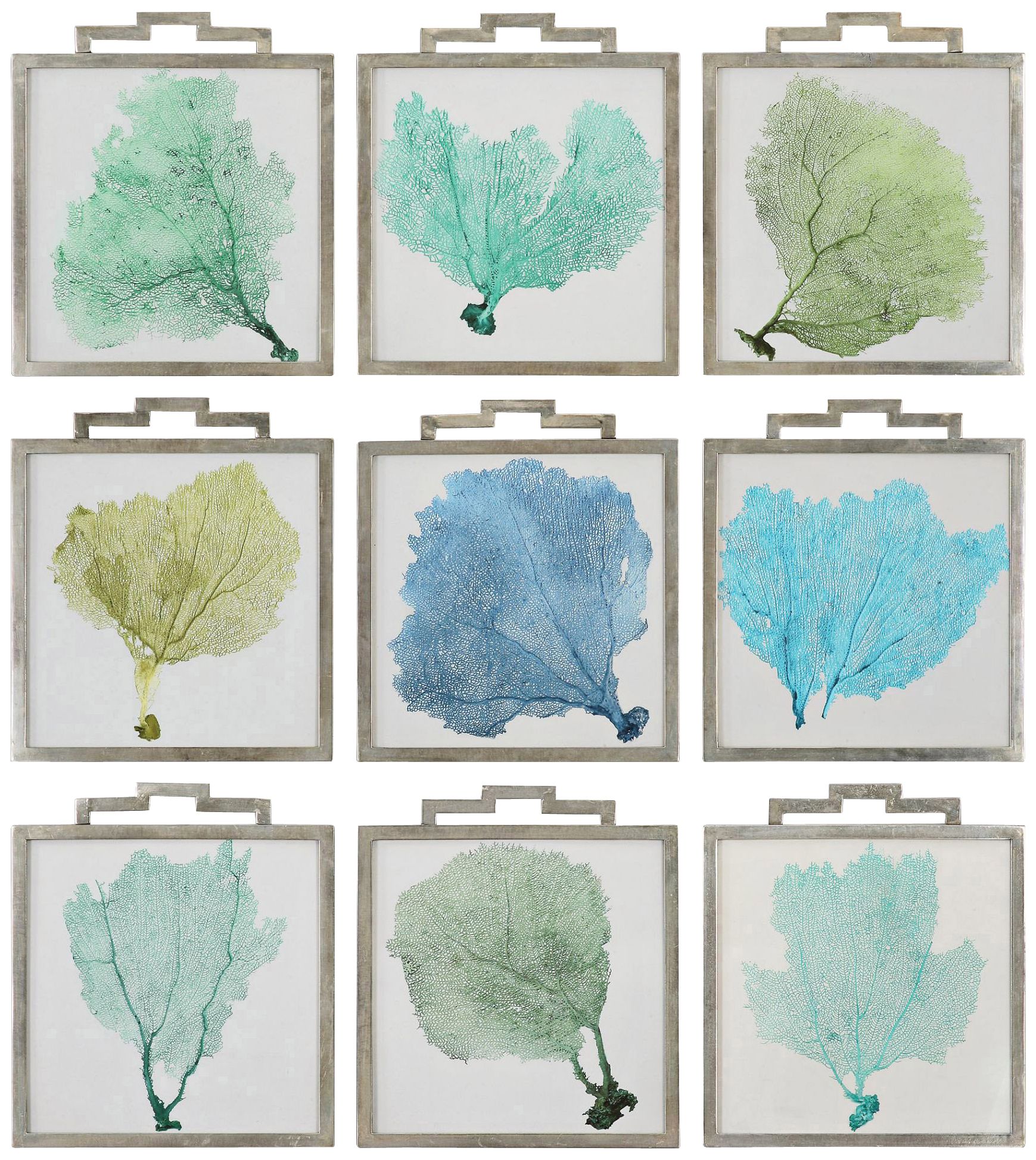 Uttermost Sea Fans 9-Piece 19 1/4" High Wall Art Set