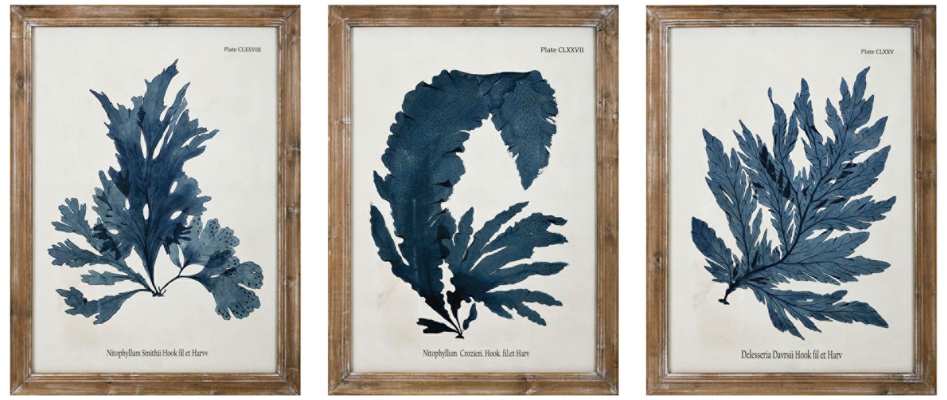 Lucia 32 3/4" High 3-Piece Framed Wall Art Set