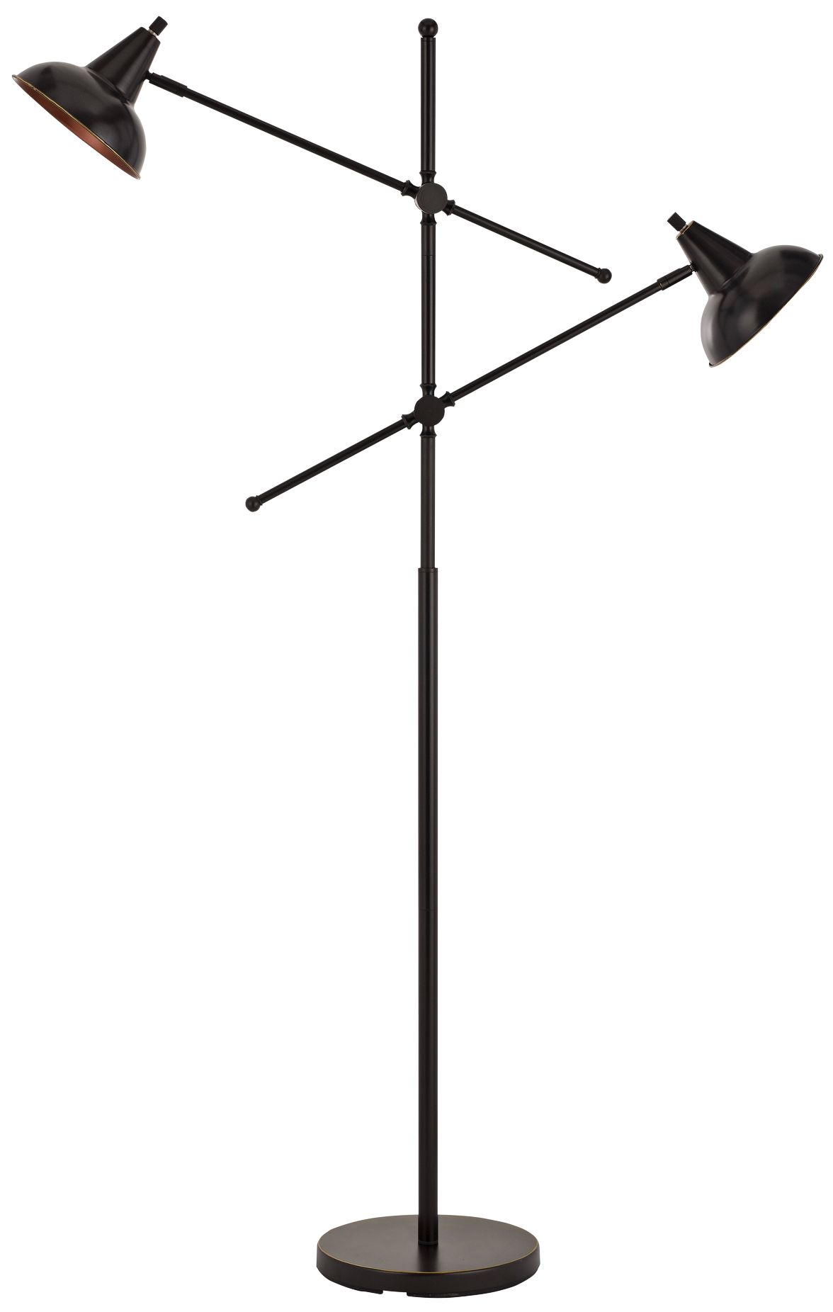 Canterbury Dark Bronze Metal 2-Light Adjustable Floor Lamp