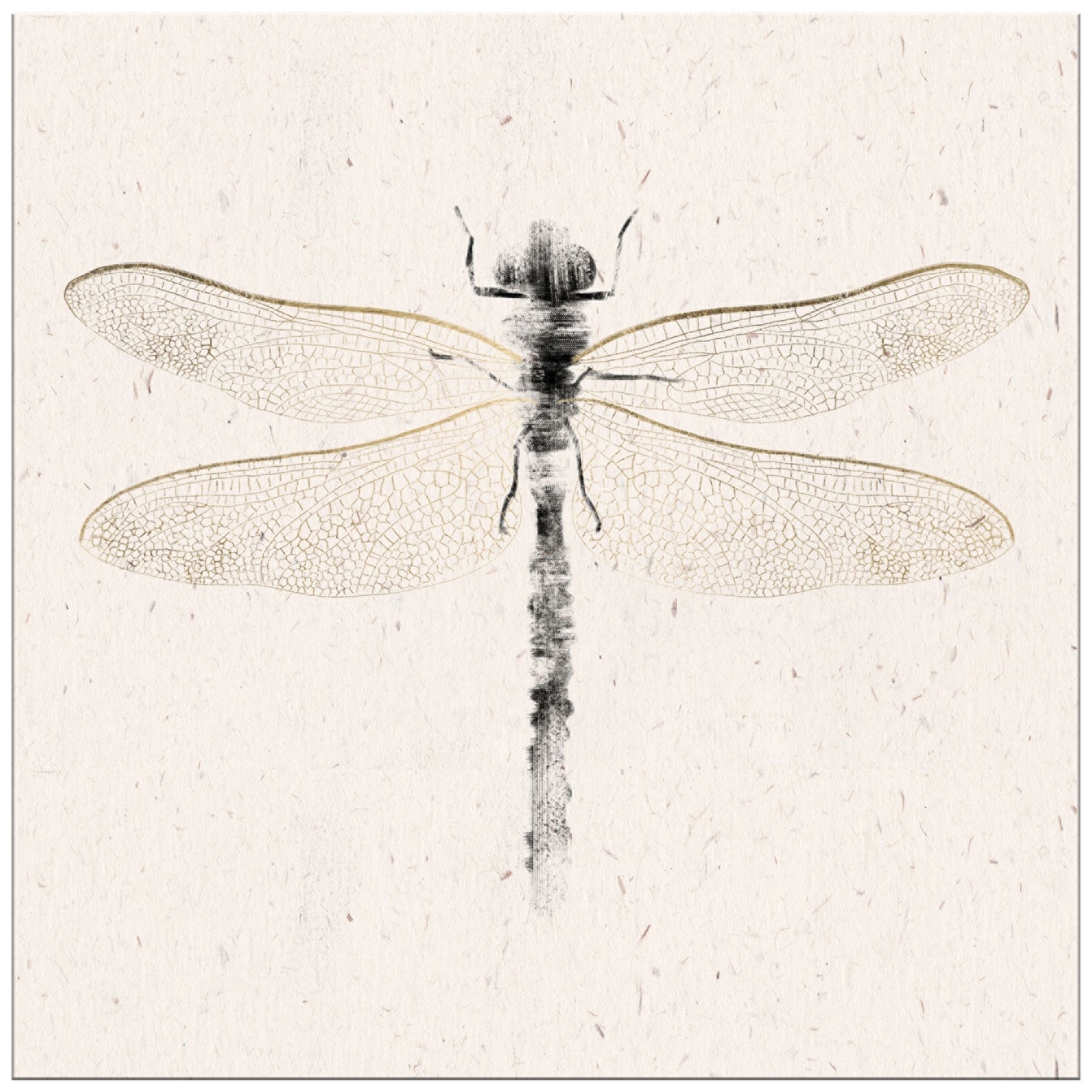 DragonFly Square Giclee Canvas Wall Art