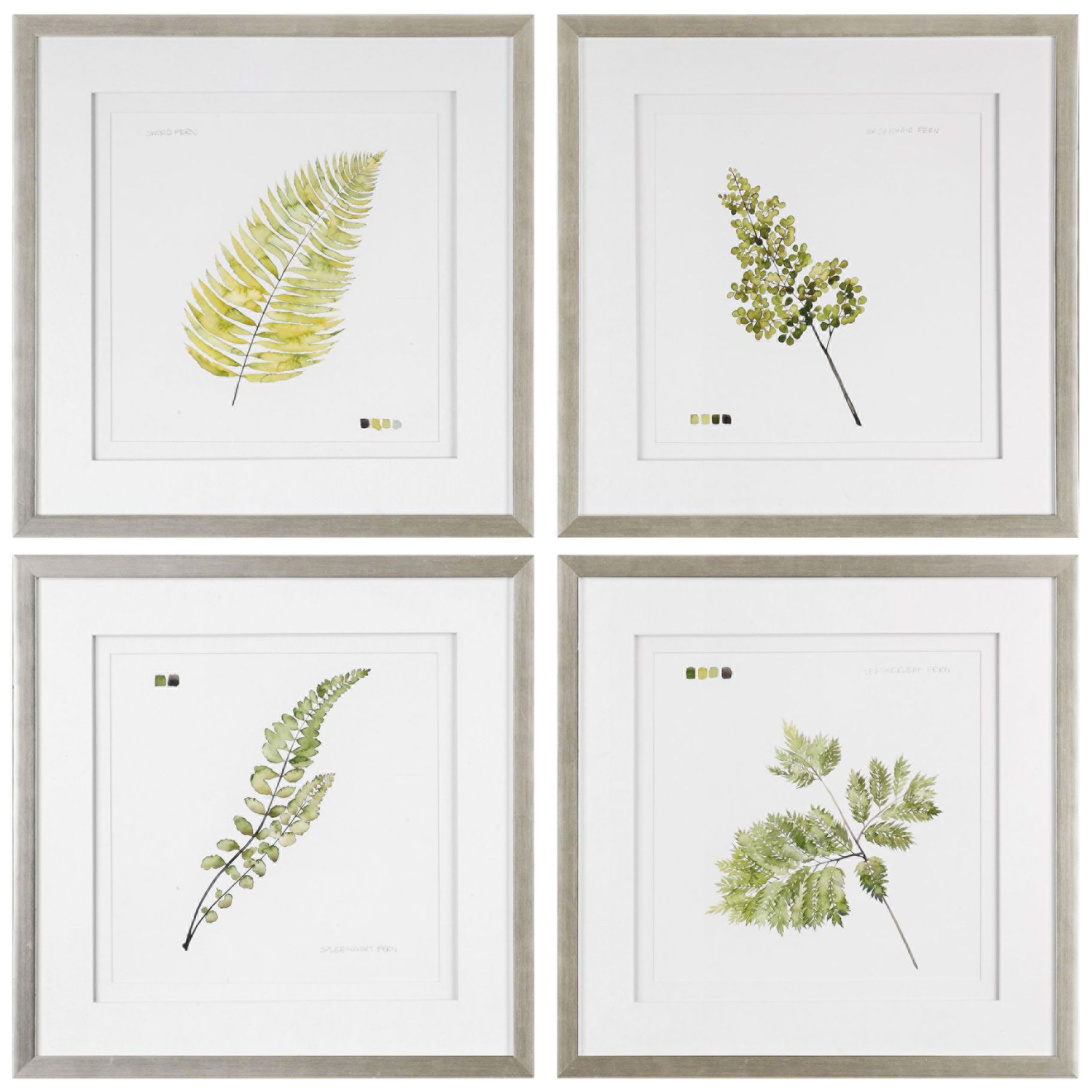 Watercolor Leaf Study 28" Square 4-Piece Framed Wall Art Set