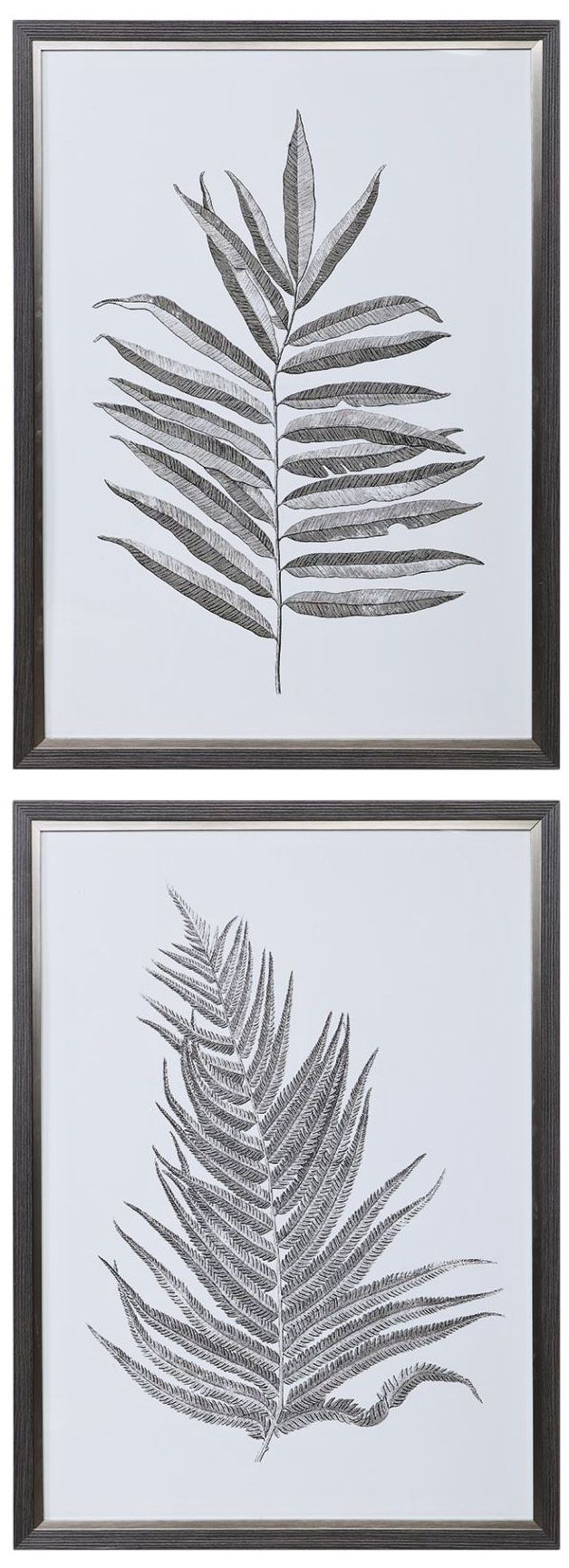 Silver Ferns 38 1/2" High 2-Piece Framed Wall Art Print Set