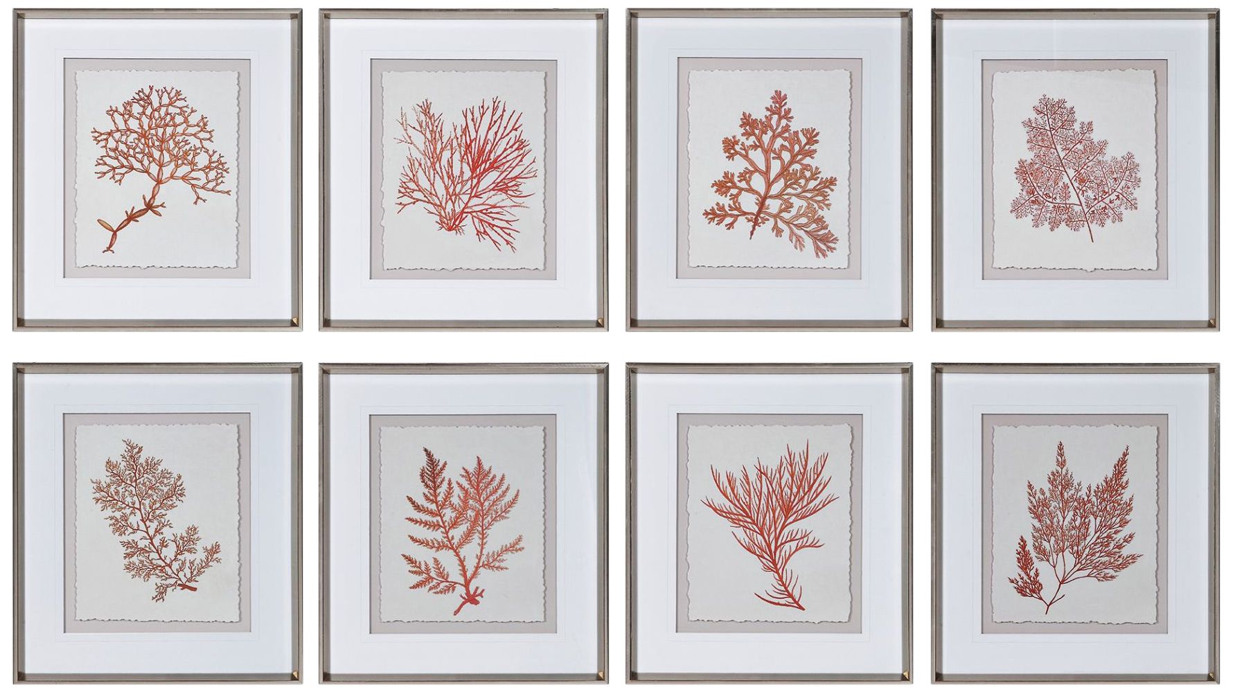 Sunrise Coral 20" High 8-Piece Framed Wall Art Print Set