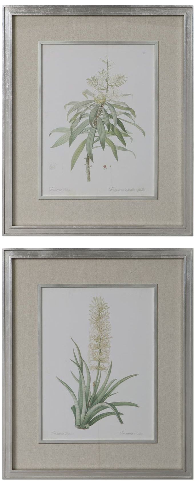 Plant Study 34 3/4" High 2-Piece Framed Wall Art Print Set
