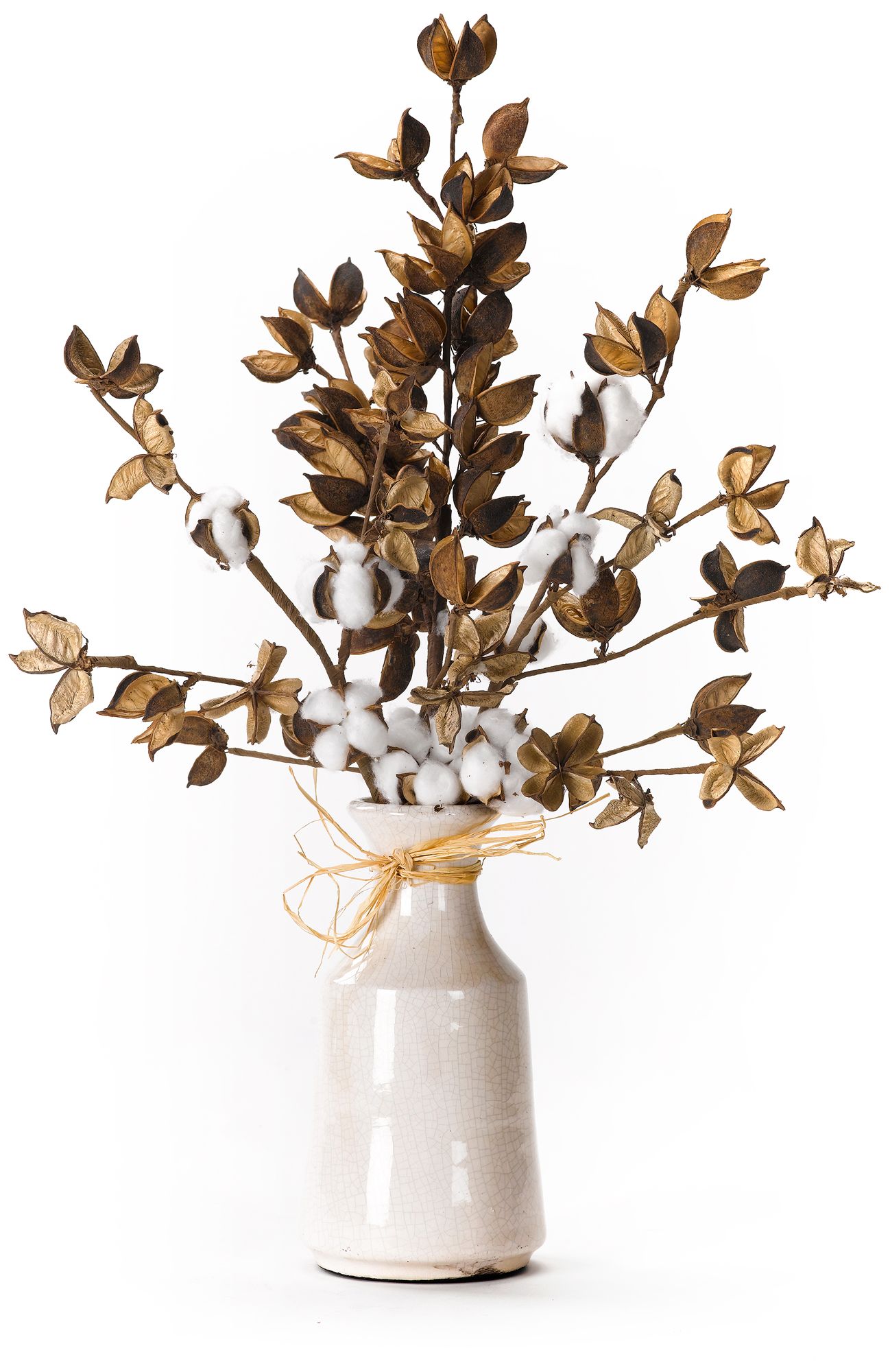Cotton Branches 23