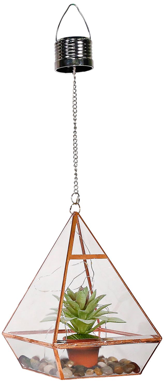 18" High Solar LED Hanging Terrarium with Green Succulent