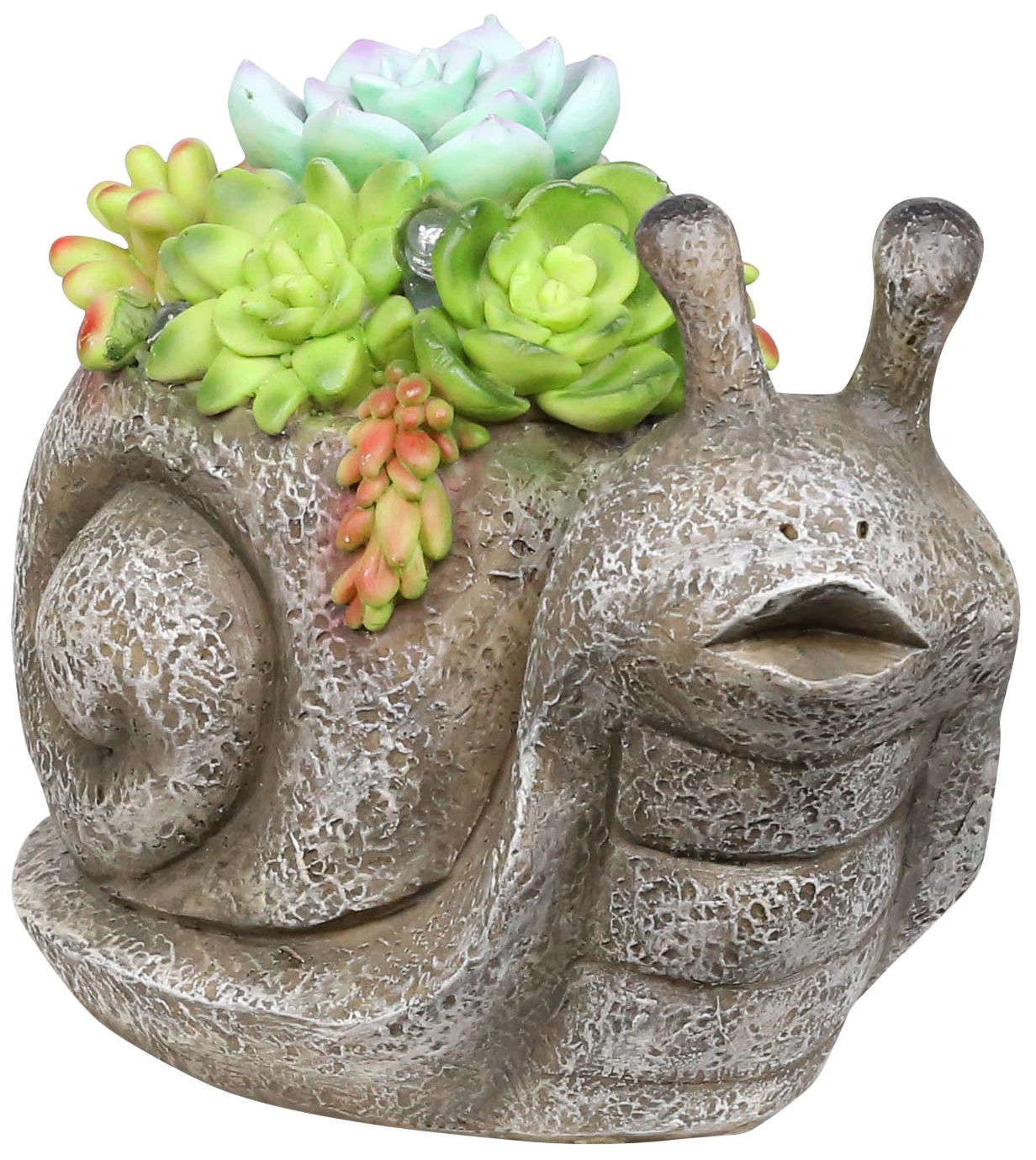 Succulents Snail 7" Wide Solar LED Outdoor Garden Statue