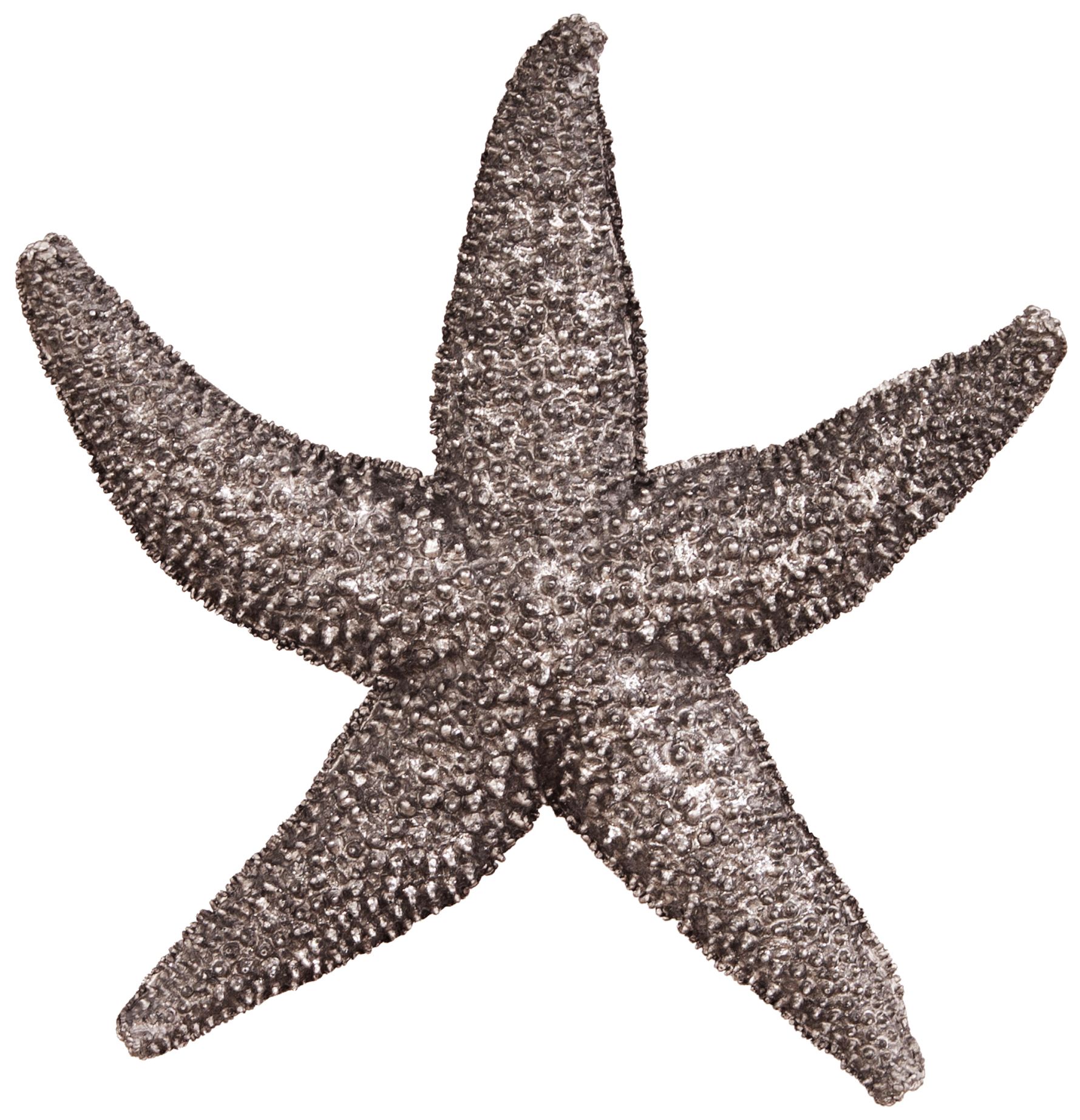Howard Elliott Deep Pewter Small 12" Wide Starfish Wall Art