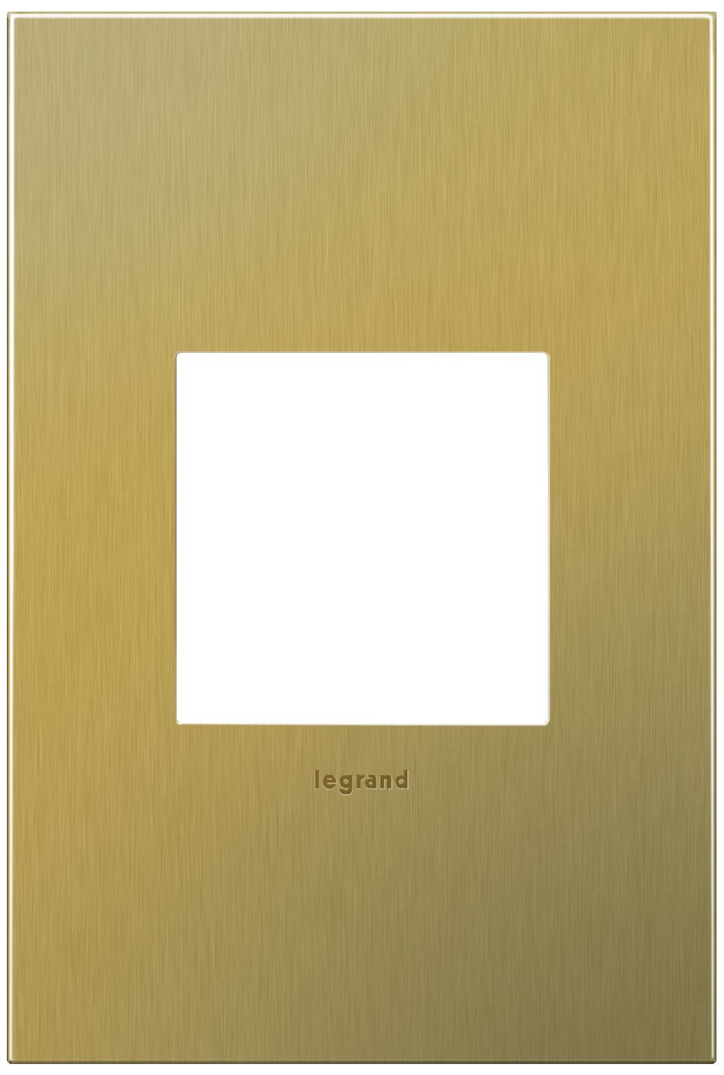 adorne® 1-Gang Brushed Brass Wall Plate