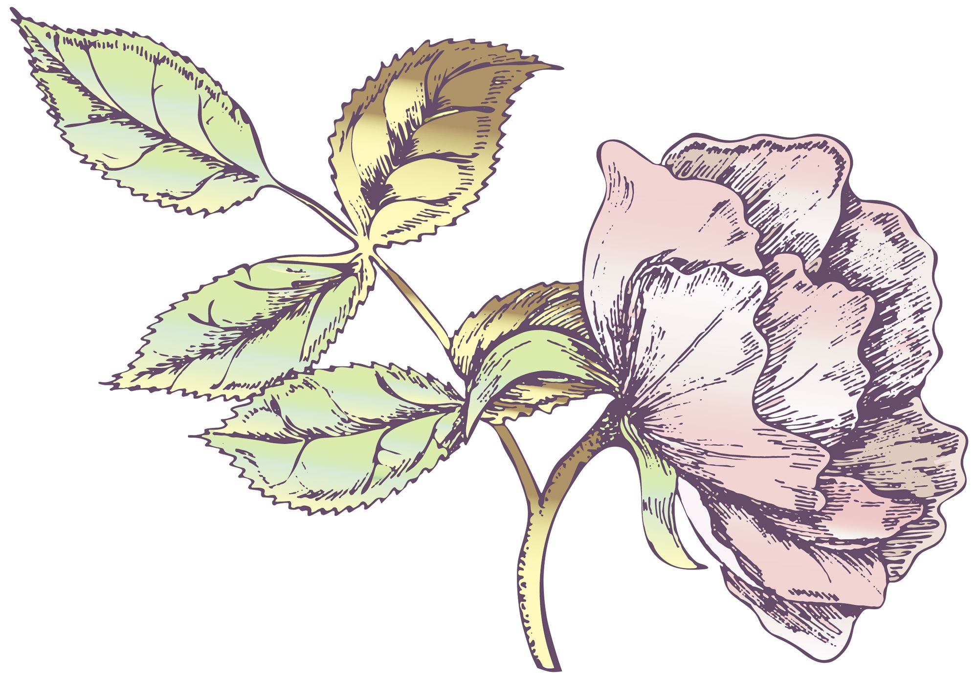 Rose Bud II Wall Decal – Floral Removable Sticker for Home Decor