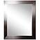 Elmore Silver Petite 20" x 24" Wall Mirror