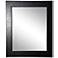 Wisner Black Superior 26" x 32" Wall Mirror