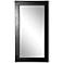 Wisner Black Superior 30" x 65" Full Length Floor Mirror