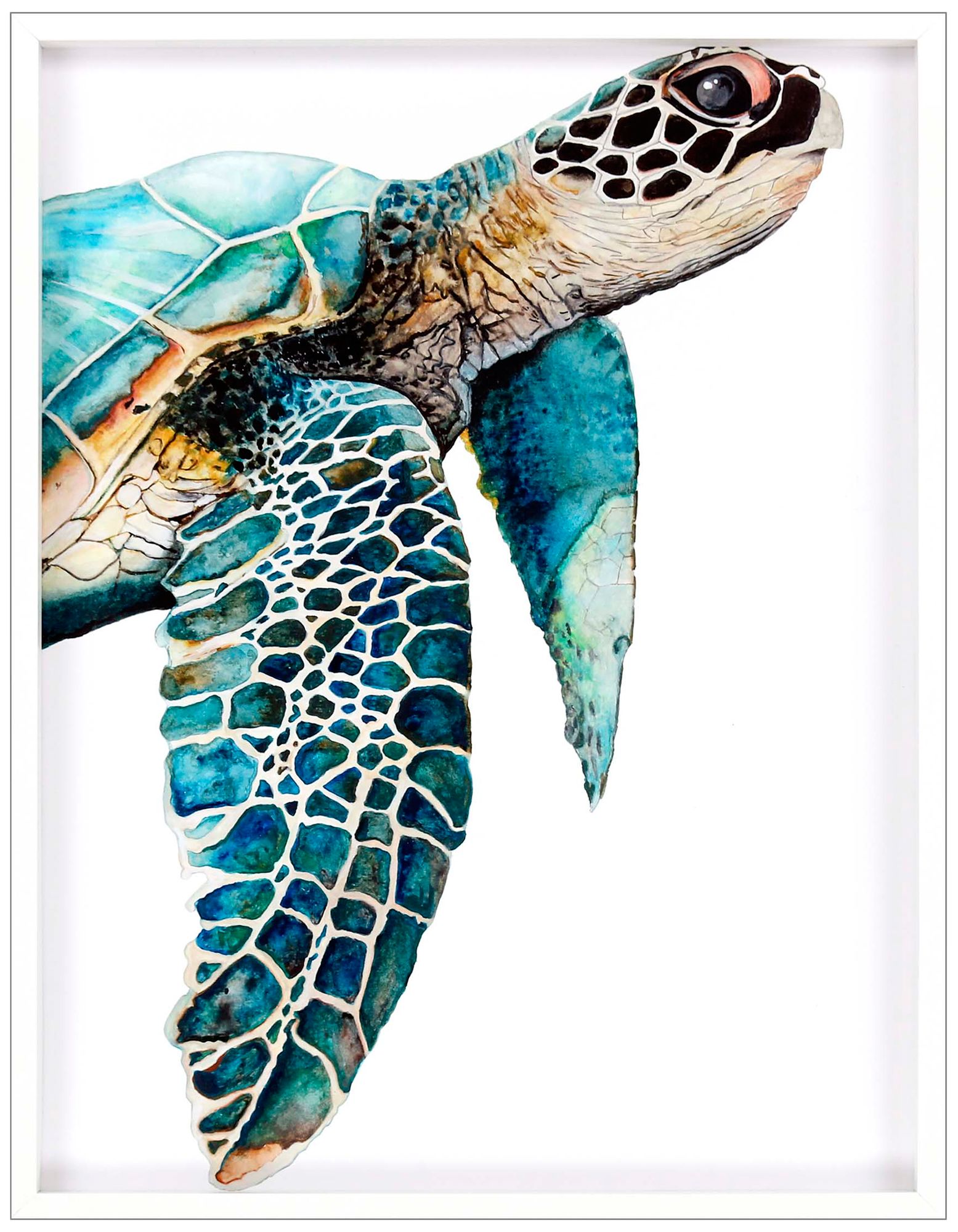 Great Sea Turtle 50" High Framed Shadow Box Wall Art 719J0 Lamps Plus