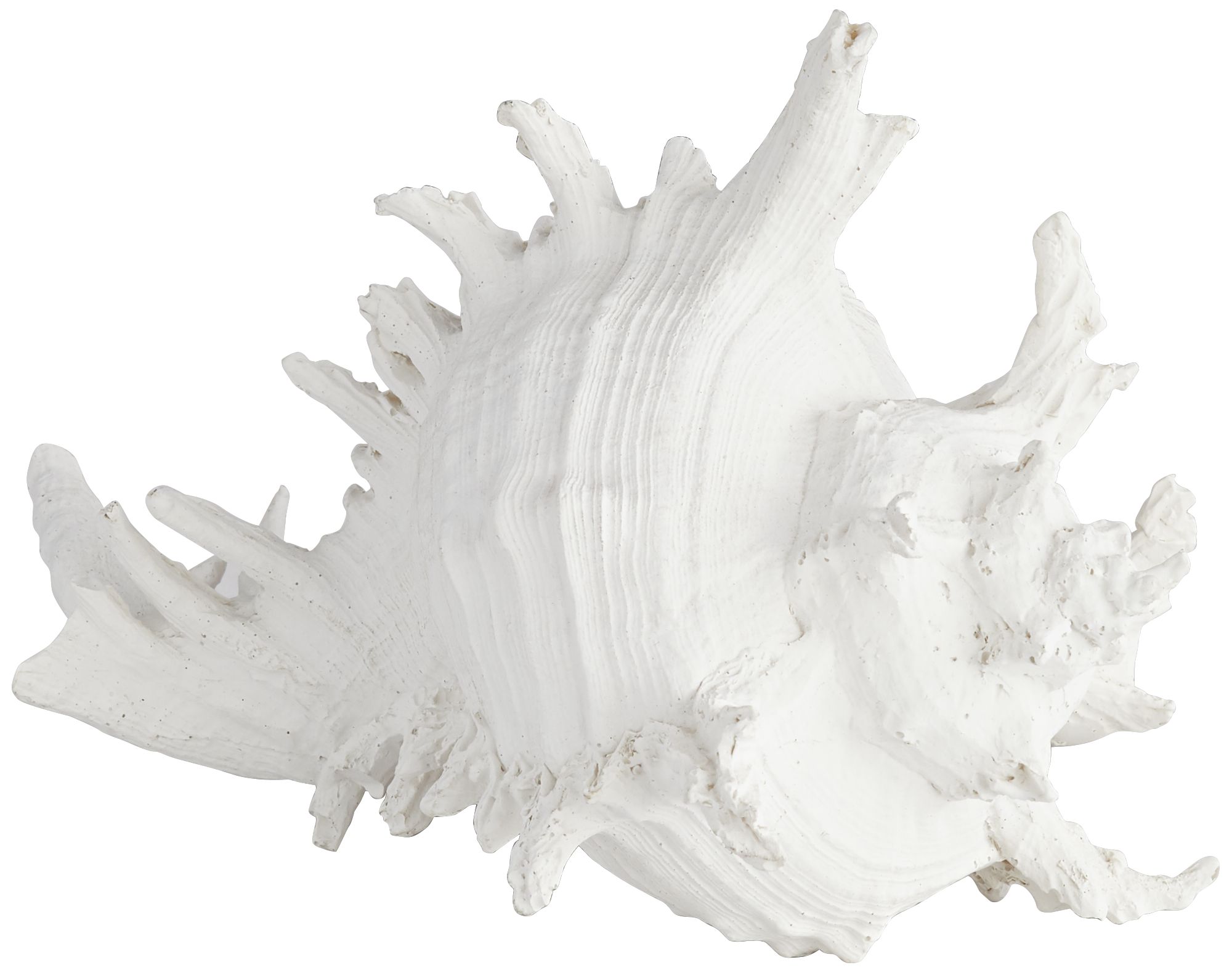 Oceana White 8 1/2" Wide Sea Shell Sculpture
