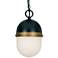 Capsule 11" High Matte Black and Gold Outdoor Hanging Light
