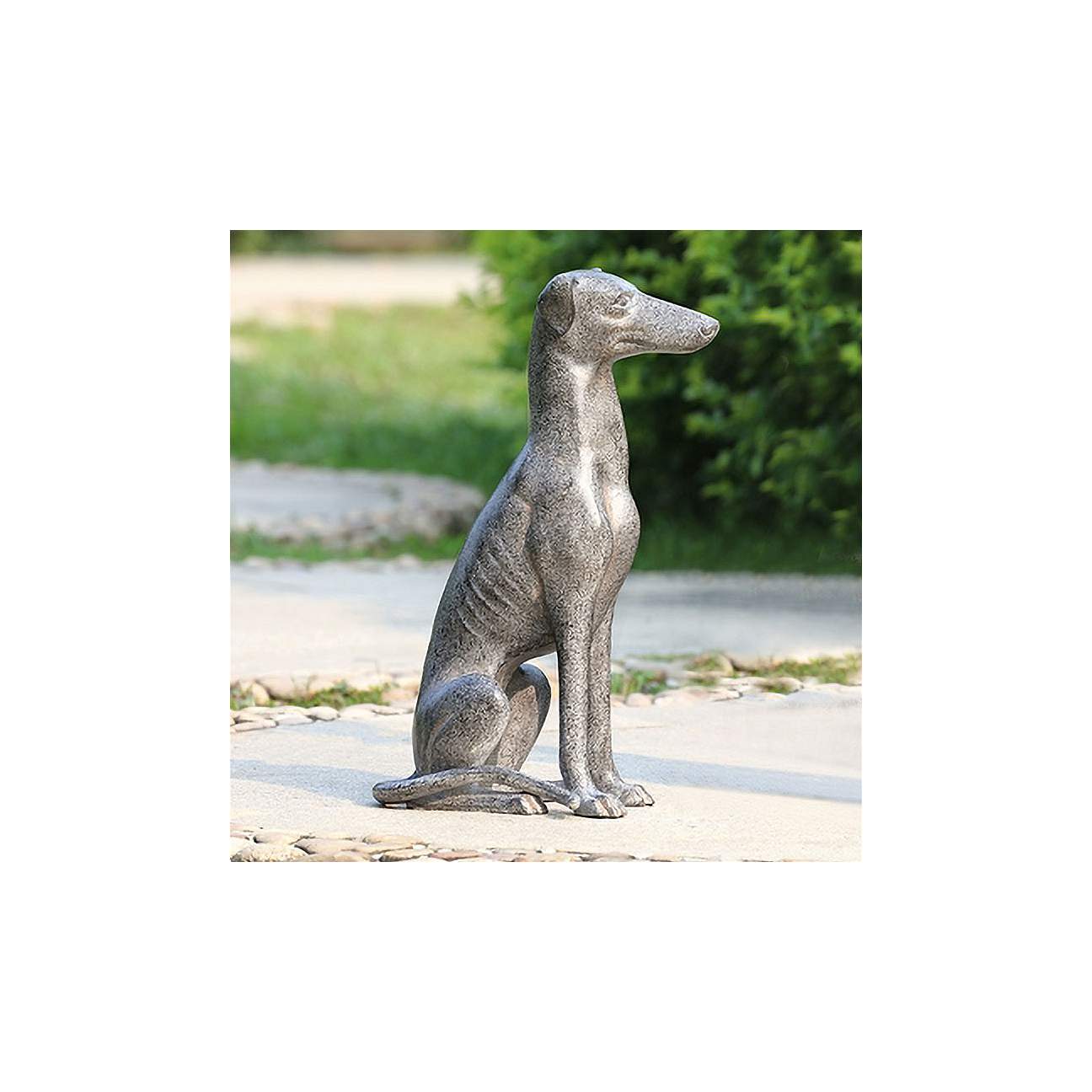 Loyal Greyhound 19