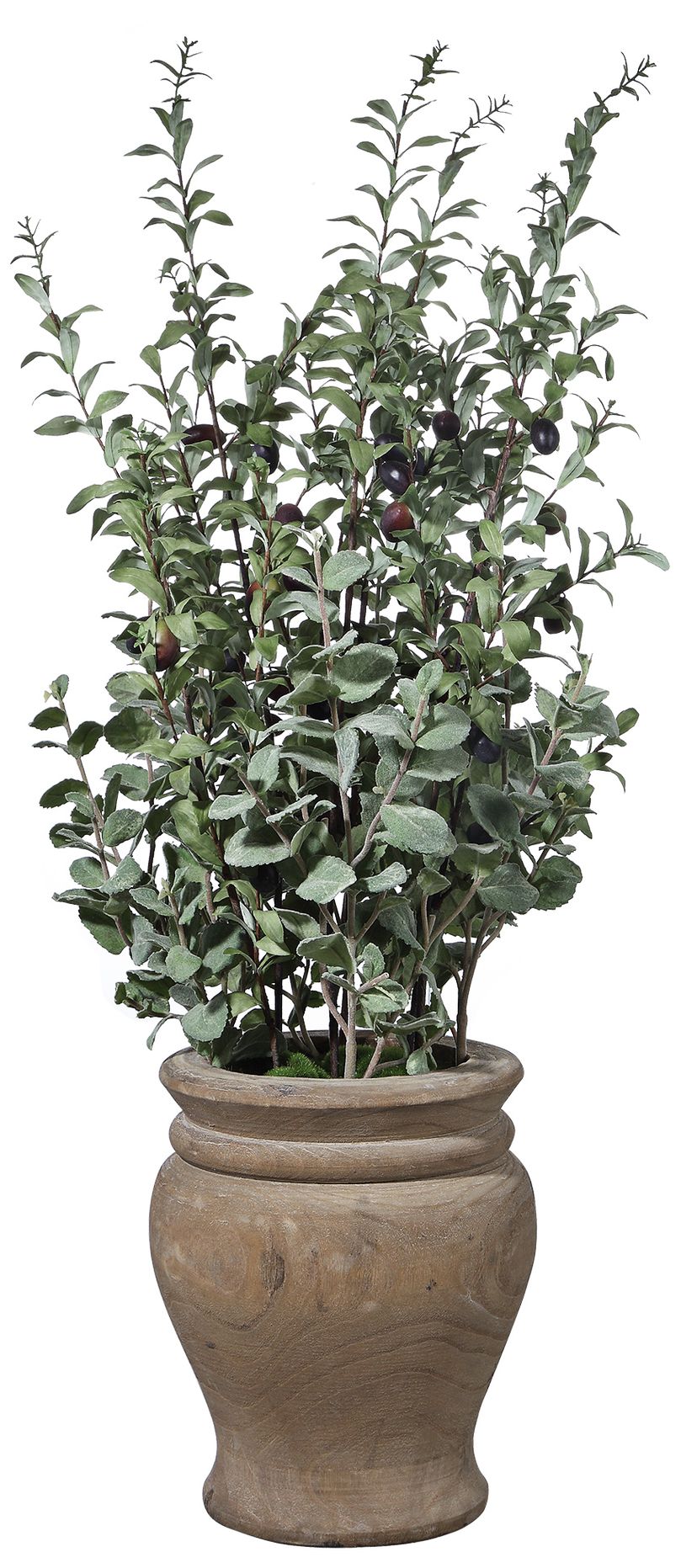 Tassos 36" High Faux Green Olive Branches in Wooden Vase 73T13