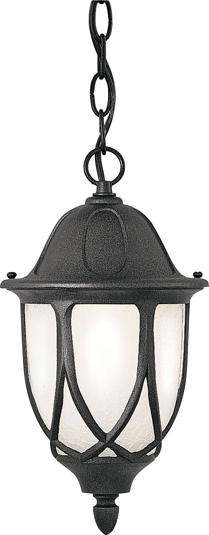 Capella 20" High Crackled Glass Black Outdoor Hanging Light