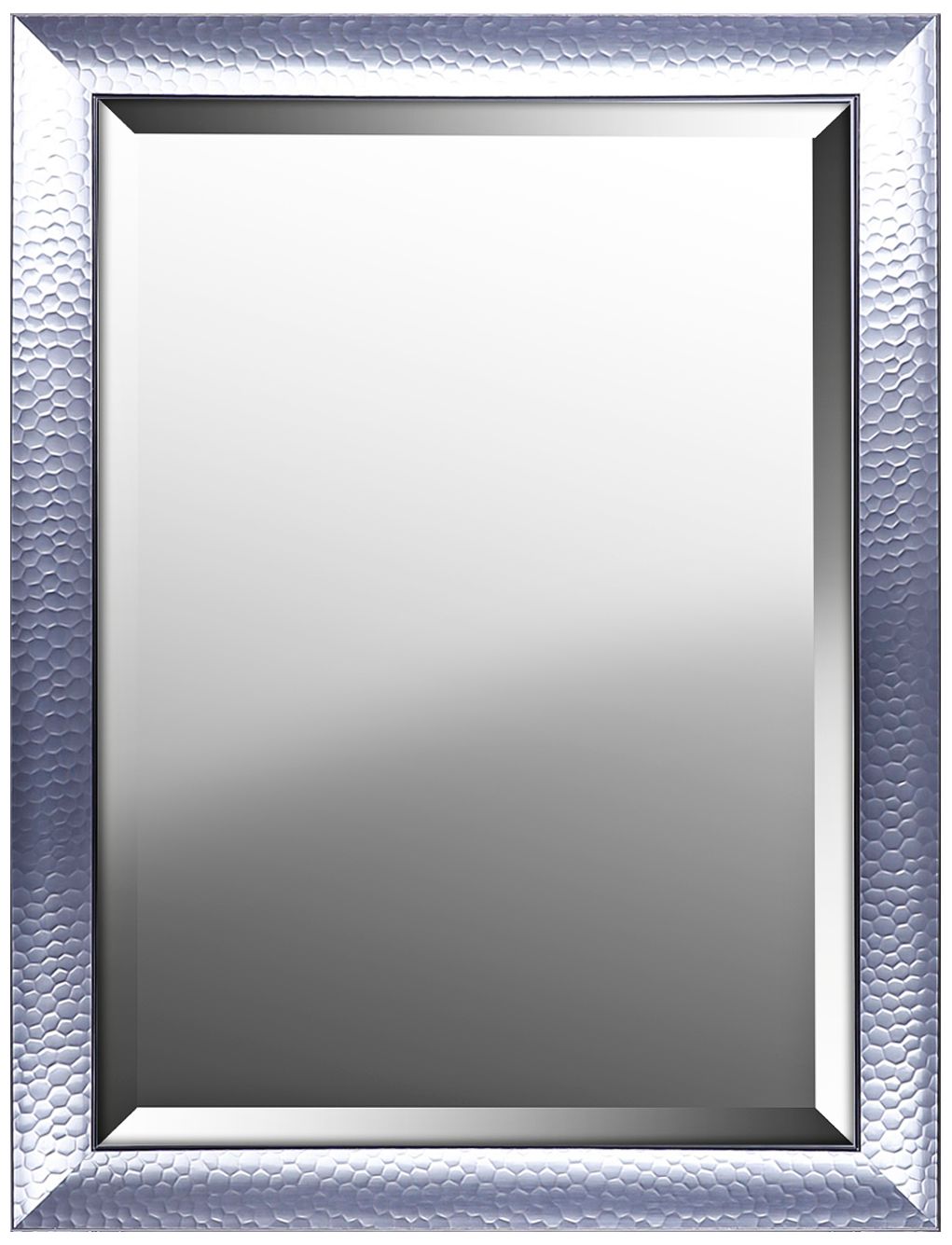 Northwood Silver Gloss 25 1/4" x 33 Wall Mirror