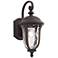 Park Sienna 16 3/4"H Bronze and Glass Outdoor Wall Light