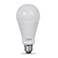 200W Equivalent 25W 5000K LED Non-Dimmable Standard A21 Bulb
