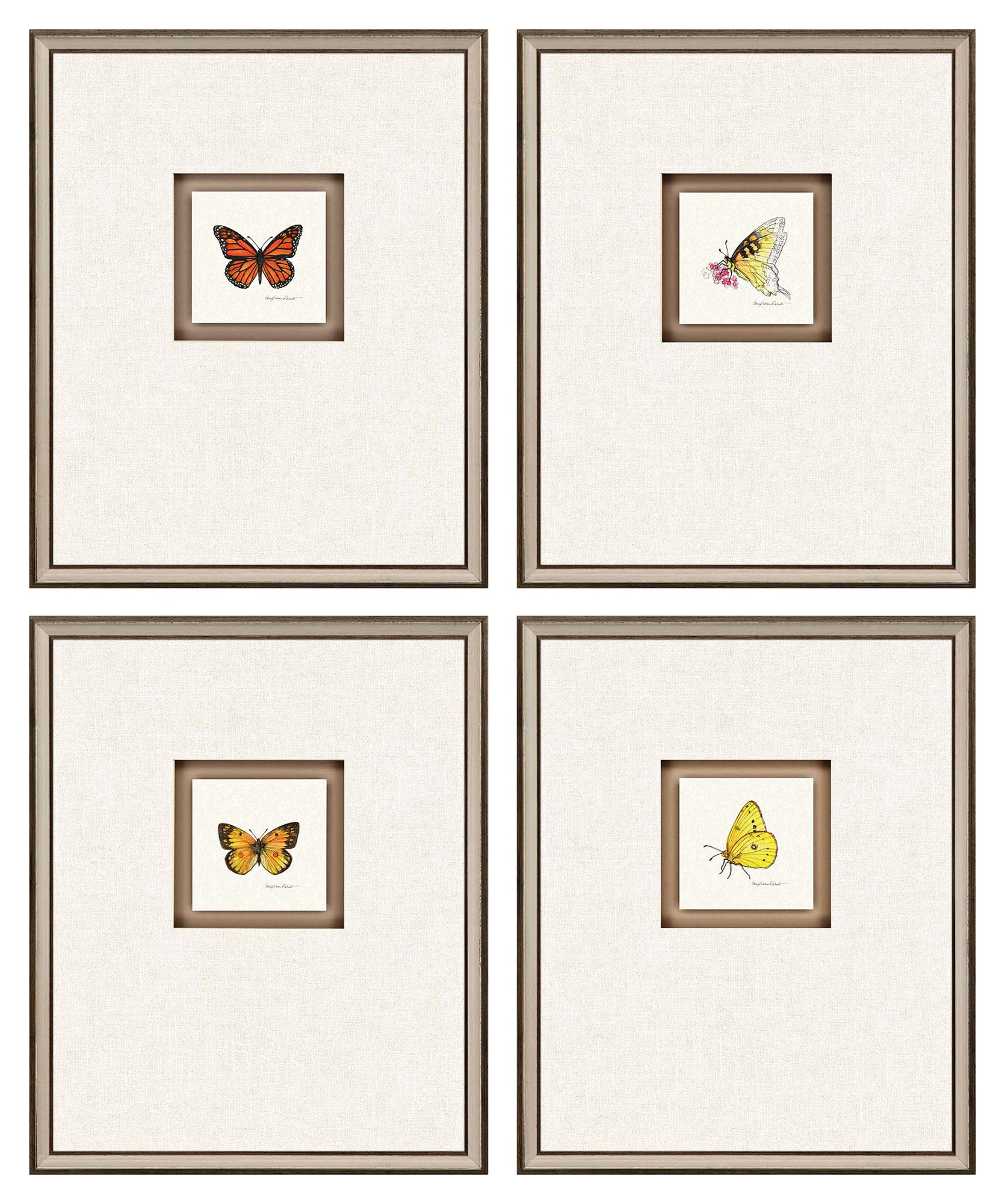 Butterfly Study II 22"H 4-Piece Framed Giclee Wall Art Set