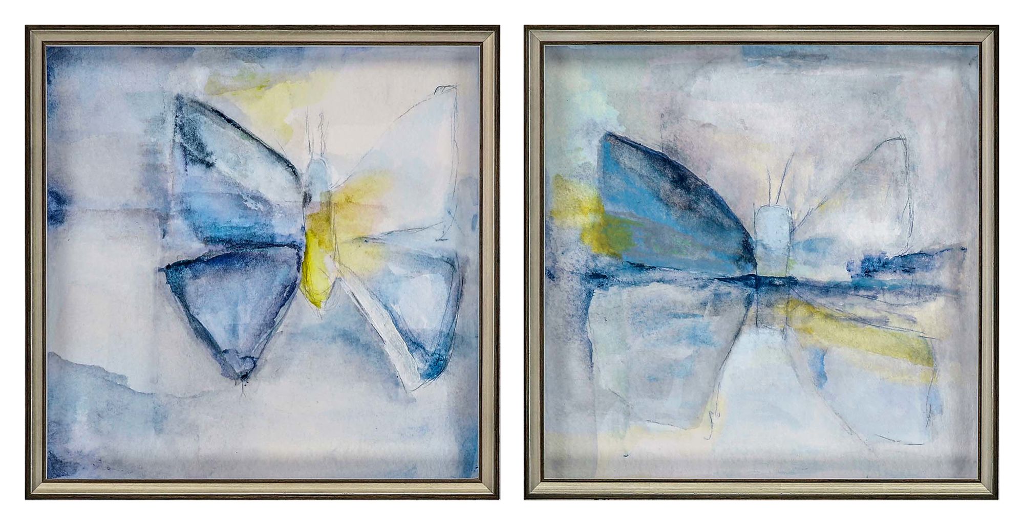 Butterfly VII 22" Square 2-Piece Framed Giclee Wall Art Set