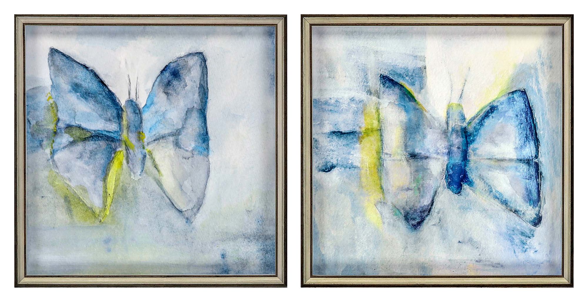 Butterfly VIII 22" Square 2-Piece Framed Giclee Wall Art Set