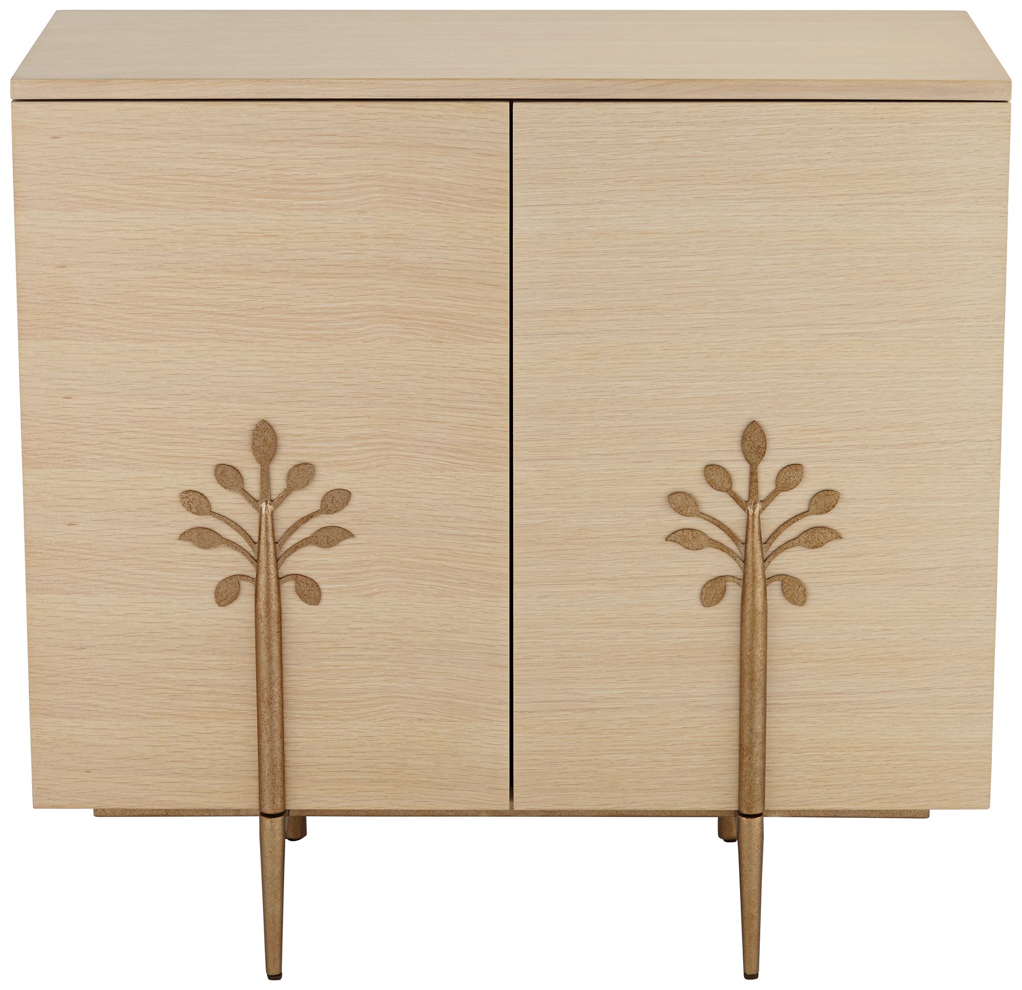Astoria 2-Door Modern Cabinet with Bronze Flower Door Pulls